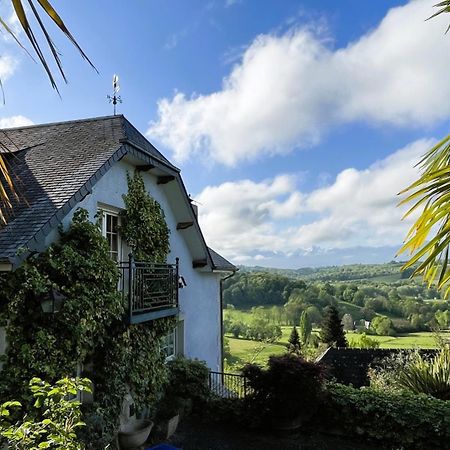 Les Gites De La Maison Bleue D'Estialescq Eksteriør bilde